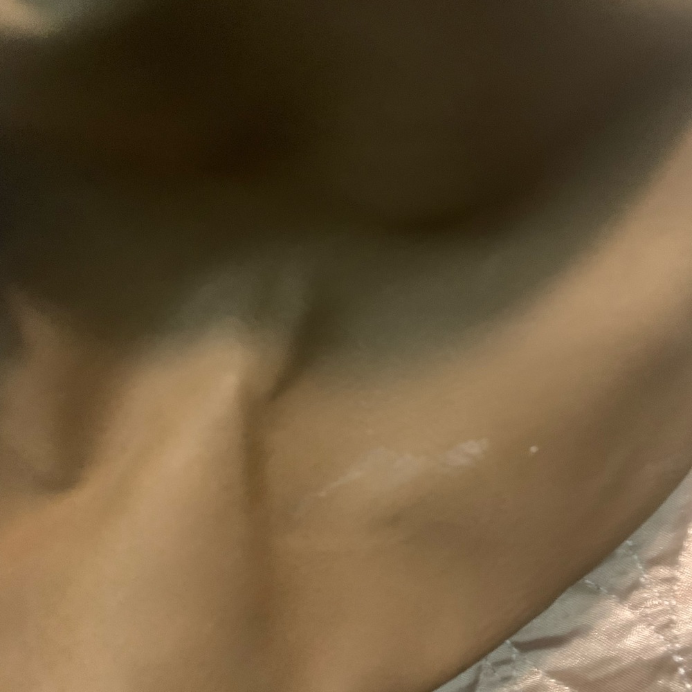 Dickies Sunflower Pineapple Backpack With Suede - image 4